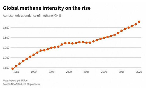 甲烷排放